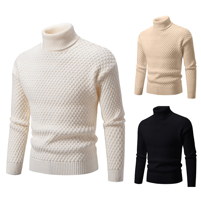 TB Mix Rollkragenpullover für Herren